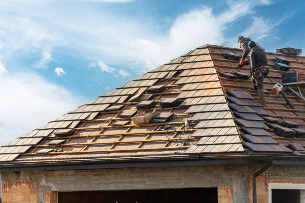 Best Roof Moss and Algae Removal  in Castle Rock, WA